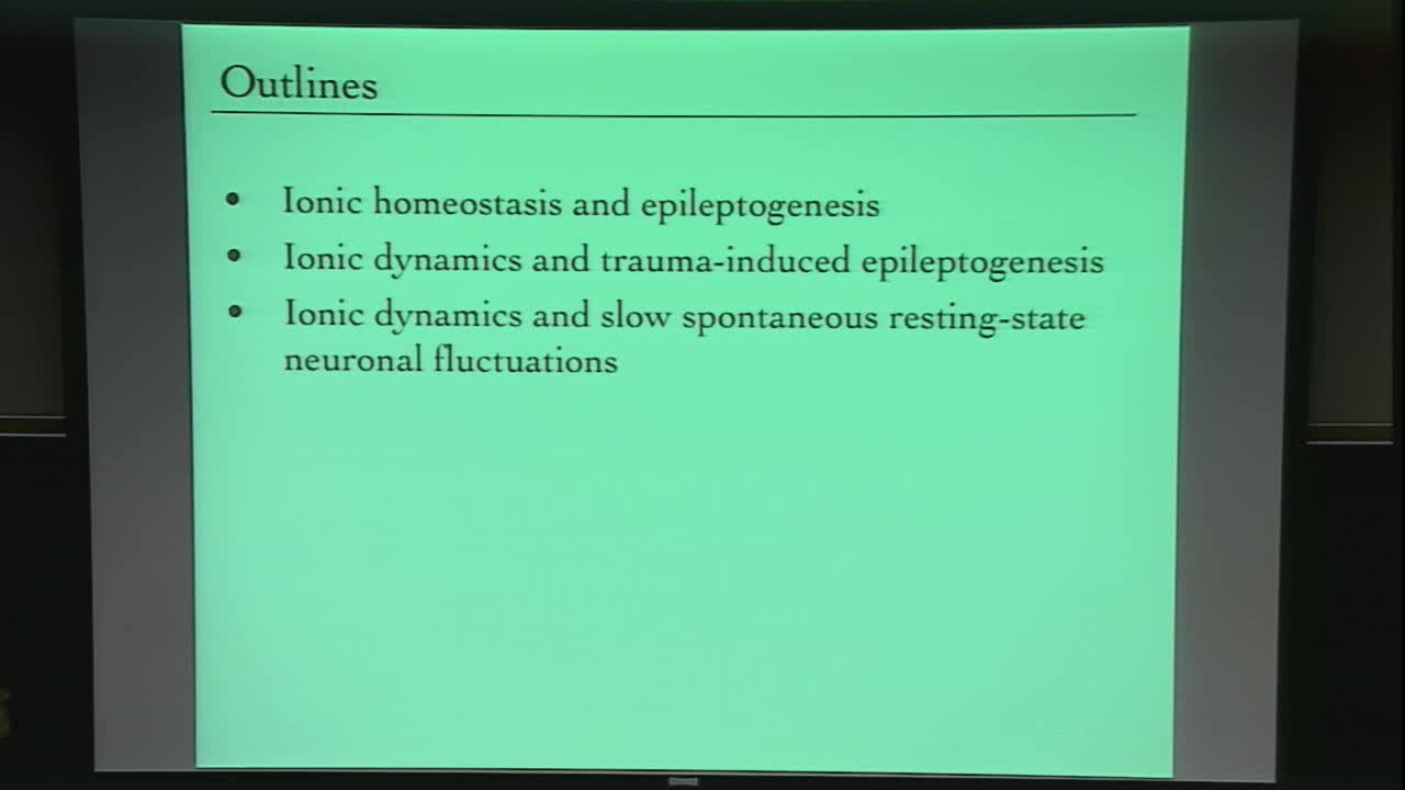 Ionic homeostasis and epileptogenesis Thumbnail