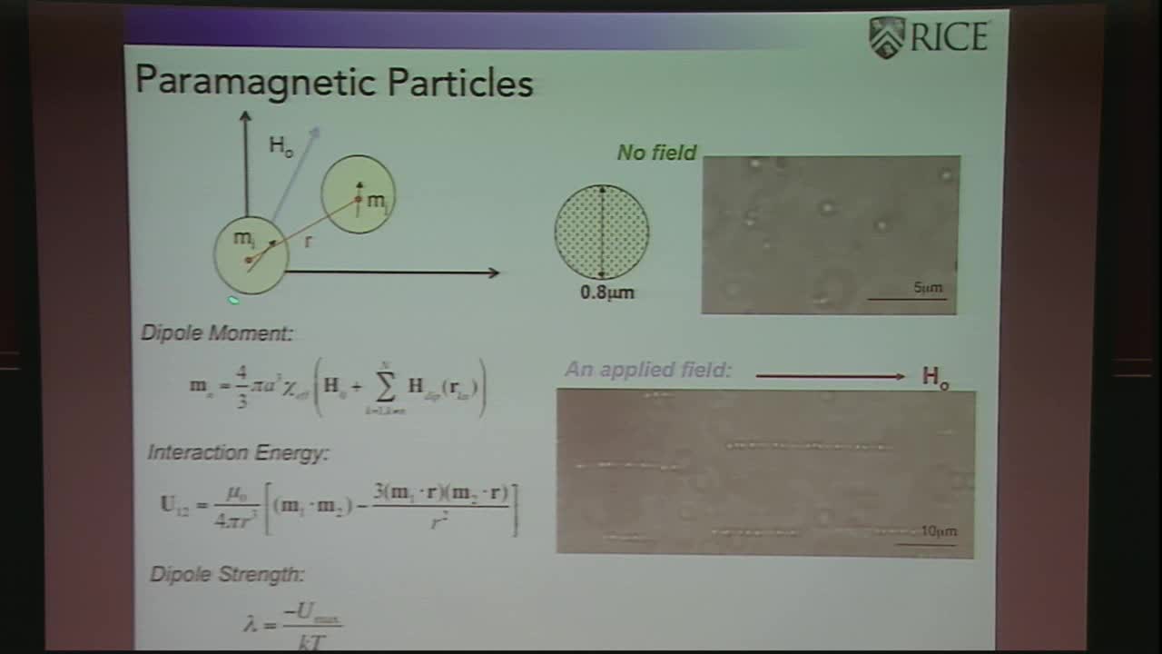 Algorithms for accurately calculating forces between dipolar particles Thumbnail