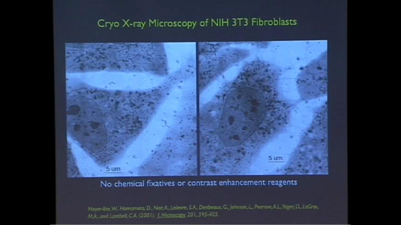 X-ray tomography of whole, hydrated cells at better than 50 nm resolution Thumbnail