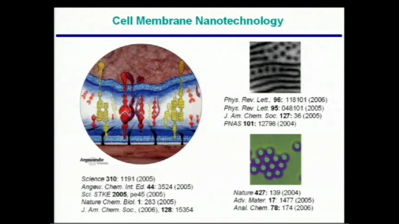 Spatial organization in cell membranes Thumbnail