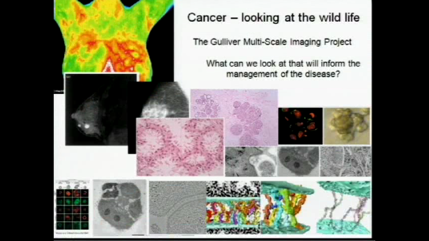 Keynote address: Cancer - Looking at the Wild Life Thumbnail