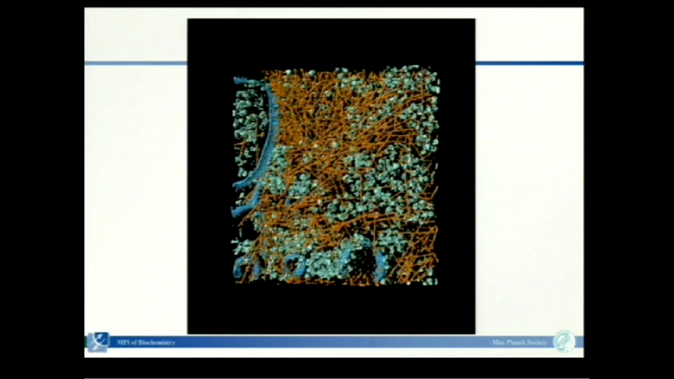 Mapping Molecular Landscapes Inside Cells by Cryoelectron Tomography - part 2 Thumbnail